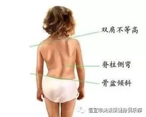 为什么优化篮球训练场地布局很重要_2